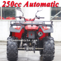 Neuen 250er Bode Quad automatische Sport ATV (MC-356)